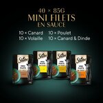 Assiette design avec mini filets en sauce nourriture humide luxe chat