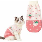 chaton portant un pull hiver design doux