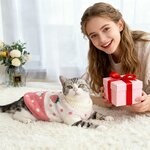 vêtement chaud design pour chat automne hiver