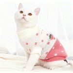 chat portant un pull en laine multicolore luxe