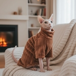 sphinx chat manteau capuche luxe peluche rayures