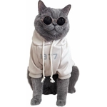 Sweat-shirt chat haut de gamme occasion festive teinte abricot.
