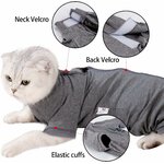 Design sophistiqué gilet médical chat post-opératoire M 16 pouces.