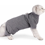 Body anti-perte poils manches longues luxe pour chaton premium.