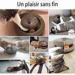 Innovation pliable griffoir chat voyage facile.