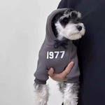 sweat-shirt hiver premium pour chat à capuche sport chic