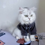 pyjama chaud pour chat en coton avec doublure polaire