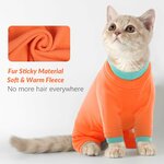 vêtement chaud pour petite race chat design raffiné