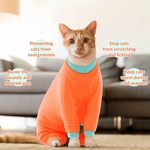 manteau chat intérieur propre poils retenus