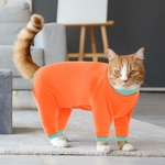 pyjama d’hiver pour chat petit gabarit vêtement chaud