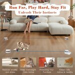 Accessoire stimulation mentale chat H1K3 obstacles DIY parcours luxe.