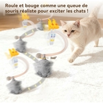 Innovation technologique chat souris couinante rechargeable autonomie 7 jours.