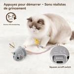 Jouet interactif chat souris peluche douce résistante Morsures griffures.