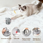 Jouet pour chaton premium herbe à chat intégrée mouvements imprévisibles luxe.