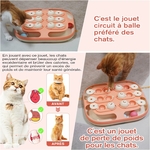 Accessoire chat intérieur design sophistiqué KADTC rose stimulation mentale.