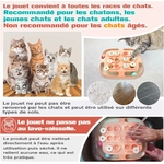 Console de jeux pour chat design premium rose KADTC avec piste balles.
