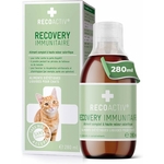 RECOACTIV chat convalescent, solution appétente pour reprise de poids.
