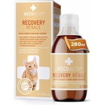 Aliment complet hautement calorique pour chat, texture liquide facile à administrer.
