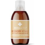 RECOACTIV Recovery Rénale pour chats, aliment liquide premium pour soutien rénal.