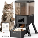 Transition alimentaire douce PalNests distributeur premium pour chaton gestante.