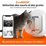 Chatière connectée pour chaton et chat, innovation pratique et esthétique.