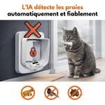 Accessoire design raffiné félin pour chatière électronique à puce.