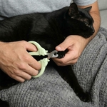 Ensemble 3 pièces toilettage chat portable design moderne premium.