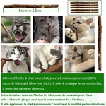 Kit jouets interactifs pour chat premium multicolore.