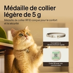 Mangeoire automatique de croquettes pour chat connectée Wi‑Fi 5G dans un intérieur moderne
