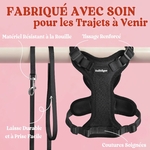 Harnais chat laisse rabbitgoo XS noir, look premium et sécurité promenade