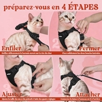 Harnais chat laisse noir et respirant rabbitgoo porté par un chaton