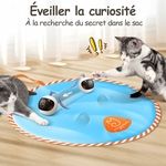 Accessoire jouet 2-en-1 pour chat chasse et traque design premium