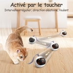 3 Tapis de jeu cache-cache interactif pour chat nylon souple et durable