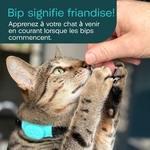 Traceur Tabcat V2 design raffiné félin pour chat et chaton.