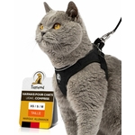 Harnais chat noir, longue laisse pratique pour sorties quotidiennes.