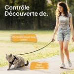 Harnais chat avec laisse, boucle de fermeture sécurisée pour chaton.