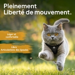 Accessoire chat premium, harnais confortable pour chat de petite taille.