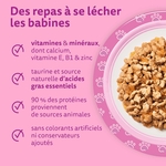 Accessoire félin raffiné : WHISKAS lot 4 packs volaille gelée santé digestive chat junior.