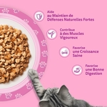 Nourriture chaton sophistiquée : gelée fraîcheur Whiskas pour croissance saine os solides.