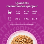 Design premium chat bébé : festin volaille innovation nutritionnelle calcium vitamines.