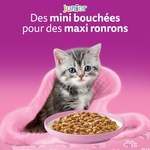 Pâtée gelée féline haut de gamme : lot 48 sachets Whiskas junior bien-être digestif.