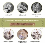 Bâtons de mastication pour chat intérieur, design premium et naturel.