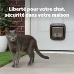 Porte chat avec puce électronique, sécurité et confort au quotidien.