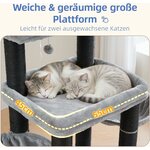 Plateformes pouvant accueillir deux chats adultes ou un Maine Coon, espace de repos spacieux.