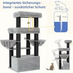 Plateforme supérieure élargie avec coussin amovible lavable pour chat adulte, intérieur premium.