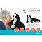 81awXBg9HjL._AC_SL1500_