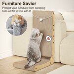 Griffoir Chat Carton