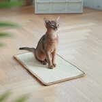 Tapis griffoir pour chat