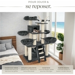 Chat pour Jeux et Repos - Griffoirs à chats