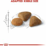 Croquettes pour chat adulte difficile Royal Canin 10kg